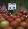 Vendedor segura sacolas de tomate em feira de São Paulo
04/05/2013
REUTERS/Nacho Doce  Foto: Reuters