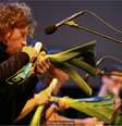 Nos últimos 21 anos, Orquestra Vegetal de Viena realizou quase 300 shows em todo o mundo  Foto: Heidrun Henke / BBC News Brasil