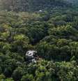 Mata Atlântica é alvo de recuperação florestal no Brasil  Foto: Getty Images / BBC News Brasil
