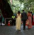 Convidados chegam à uma casa de festas em Santa Teresa, no centro do Rio de Janeiro, para a cerimônia de casamento do deputado Eduardo Bolsonaro (PSL-SP) com a psicóloga Heloísa Wolf, no fim da tarde deste sábado, 25. Cento e cinquenta pessoas, entre familiares e amigos, foram convidados para o evento  Foto: WILTON JUNIOR / Estadão