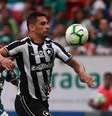 Botafogo promete lutar para anular jogo com o Palmeiras  Foto: Vitor Silva/Divulgação / Estadão Conteúdo