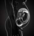 Pesquisa aponta que, durante a gravidez, a placenta envia 'mensagens' para o sistema imunológico  Foto: Getty Images / BBC News Brasil