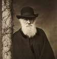 Charles Darwin  Foto: Reprodução