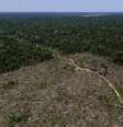 Desmatamento da Amazônia em Apuí, no Amazonas
27/07/2017
REUTERS/Bruno Kell  Foto: Reuters