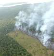 Amazônia sofre com mentalidade cega e destruidora, diz Papa  Foto: ANSA / Ansa - Brasil