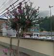 O caso ocorreu no Hospital Municipal Raul Sertã, em Nova Friburgo (RJ)  Foto: Reprodução Google Street View / Estadão