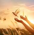 Chega Agosto e é tempo de libertação  Foto: iStock