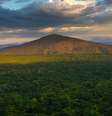 Nos anos 2000, a Etiópia tinha apenas 4% de cobertura florestal  Foto: Getty / BBC News Brasil
