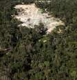 Uma mina de ouro ilegal, localizada em uma área de floresta amazônica desmatada, é vista perto da cidade de Castelo dos Sonhos  Foto: Nacho Doce / Reuters
