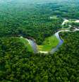 Amazônia.  Foto: iStock