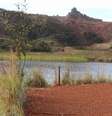 Vegetação cresce sobre trinca em barragem abandonada em Brumadinho  Foto: DW / Deutsche Welle