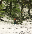 Regiões da Europa tiveram neve atípica em maio deste ano, em plena primavera. Na foto, a região de Vogel, na Eslovênia, aparece coberta de neve na primeira semana de maio  Foto: Edison Veiga/BBC / BBC News Brasil