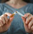  Foto: Sezeryadigar / iStock