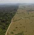 Dados do Inpe mostram que em julho a devastação na Amazônia cresceu 278% em relação ao mesmo mês de 2018  Foto: DW / Deutsche Welle