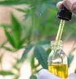 Anvisa autoriza o uso terapêutico de canabidiol, um dos principais componentes da maconha, desde janeiro de 2015  Foto: Getty Images / BBC News Brasil