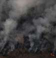 Colunas de fumaça em área de incêndio na floresta amazônica, perto de Porto Velho
21/08/2019
REUTERS/Ueslei Marcelino  Foto: Reuters