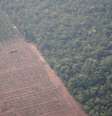 Imagem aérea do último dia 22 mostra trator em uma plantação ao lado de floresta perto de Porto Velho (RO); presidente da SRB não vê contradição entre preservar e aumentar produção  Foto: REUTERS/Ueslei Marcelino / BBC News Brasil