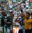  Foto: Adriana Spaca/FramePhoto / Gazeta Press