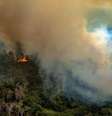 Incêndio no Estado de Rondônia neste sábado, 24  Foto: Greenpeace/ Divulgação / Estadão