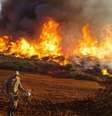 Queimadas no Brasil tiveram repercussão negativa no exterior  Foto: Bombeiros MS / BBC News Brasil