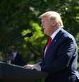 Presidente dos Estados Unidos, Donald Trump 
29/08/2019
REUTERS/Leah Millis  Foto: Reuters