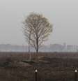 Vista de região afetada por incêndios na zona rural nas margens da BR-230.  Foto: Sandro Pereira / Código 19 / Estadão