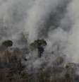 Fogo devasta floresta na região de Porto Velho  Foto: DW / Deutsche Welle