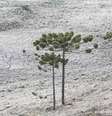  Foto: Climatempo