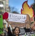 Bolsonaro cancela ida a reunião sobre Amazônia na Colômbia  Foto: ANSA / Ansa - Brasil