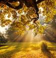 Feng Shui: setembro é mês de boas energias e muita vida  Foto: iStock