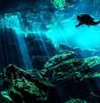 Para os antigos maias, cenotes eram portais sagrados através dos quais as pessoas se comunicavam com os deuses da chuva e da criação  Foto: Getty Images / BBC News Brasil