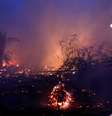 Incêndio na floresta amazônica em Rondônia
03/09/2019 REUTERS/Ricardo Moraes  Foto: Reuters