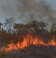Incêndio na floresta amazônica em Água Boa, no Estado do Mato Grosso
04/09/2019
REUTERS/Lucas Landau  Foto: Reuters