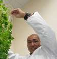 Yuichi Mori inspirou-se nas membranas usadas em rins artificiais para desenvolver películas de polímero para uso na agricultura  Foto: Divulgação/Mebiol / BBC News Brasil