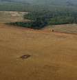 Área desmatada da floresta amazônia no Estado de Mato Grosso 
04/10/2015
REUTERS/Paulo Whitaker  Foto: Reuters