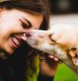 Ampara Animal, em parceria com o Carrefour, realiza feira de adoção de 34 cachorros e 14 gatos, em São Paulo.  Foto: Divulgação/Ampara Animal / Estadão