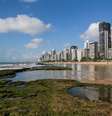 Manchas de petróleo na praia de Boa Viagem, Recife (27/09/2019)  Foto: Diego Nigro / Reuters