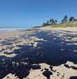 Óleo vem castigando as praias do Nordeste.  Foto: Carlos Ezequiel Vannoni / Agência Pixel Press / Estadão Conteúdo