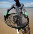Homem atua na limpeza de derramamento de óleo na praia de Coruripe, Alagoas 
14/10/2019
REUTERS/Adriano Machado  Foto: Reuters