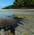 Mancha de óleo atinge Praia dos Carneiros, em Pernambuco
18/10/2019
REUTERS/Teresa Maia  Foto: Reuters