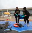 Membros do Greenpeace protestam contra óleo nas praias do Nordeste em frente ao Palácio do Planalto nesta quarta-feira, 23.  Foto: Greenpeace/ Instagram / Reprodução