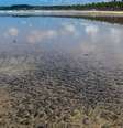 Manchas de óleo em Cabo de Santo Agostinho, em Pernambuco  Foto: DW / Deutsche Welle