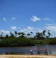 Remoção de óleo na praia de Imbassaí, em Mata de São João, Bahia  26/10/2019 REUTERS/Lucas Landau  Foto: Reuters