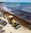 Derramamento de petróleo na praia de praia Itapuama, em Cabo de Santo Agostinho (PE) 
22/10/2019
REUTERS/Diego Nigro  Foto: Reuters