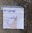 Desenho da gata Lola que João Eduardo fez e espalhou por bairro de Blumenau para encontrar a felina que fugiu de casa.  Foto: Facebook/analucia.soaresfagundes / Estadão
