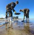 Militares do 4° Batalhão de Polícia do Exército (BPE) fazem mutirão para retirada dos resíduos de óleo na praia de Peroba, em Maragogi (AL)  Foto: Leandro de Santana / AGÊNCIA PIXEL PRESS/ESTADÃO CONTEÚDO
