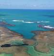 Mancha de óleo em praia de Peroba em Maragogi, Alagoas
17/10/2019
REUTERS/Diego Nigro  Foto: Reuters