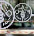 Logo da FAO-ONU em sua sede em Roma, Itália 
31/08/2005
REUTERS/Alessandro Bianchi  Foto: Reuters