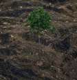 Área desmatada perto de Porto Velho; taxa de desmatamento anunciada nesta segunda-feira é a maior desde 2008  Foto: REUTERS/Bruno Kelly / BBC News Brasil