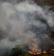 Incêndio na floresta amazônica perto de Porto Velho
17/09/2019
REUTERS/Bruno Kelly  Foto: Reuters